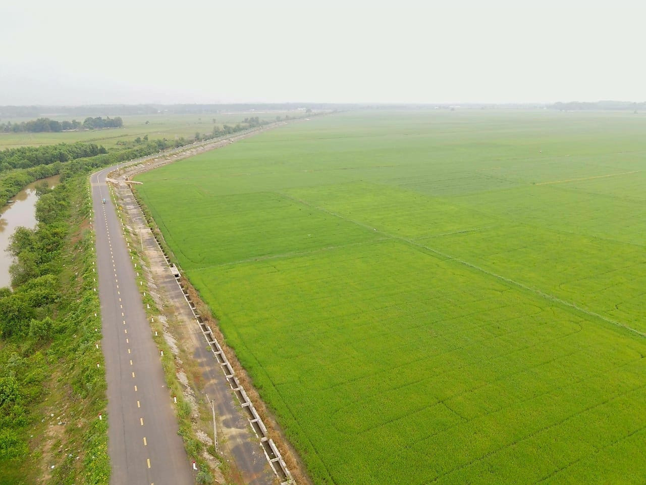 Xuyên Mộc vào vụ lúa nhìn từ trên cao Xuyên Mộc vào vụ lúa nhìn từ trên cao