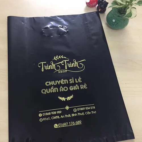 Túi hột xoài PE nhũ vàng