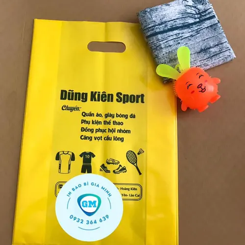 Túi SHOP thời trang - Túi hột xoài PE đựng đồ