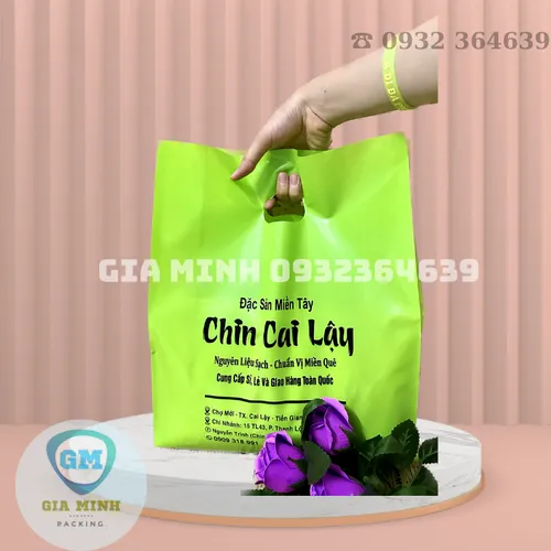 Túi hột xoài ko ép quai