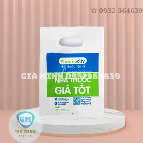 Túi hột xoài nhà thuốc