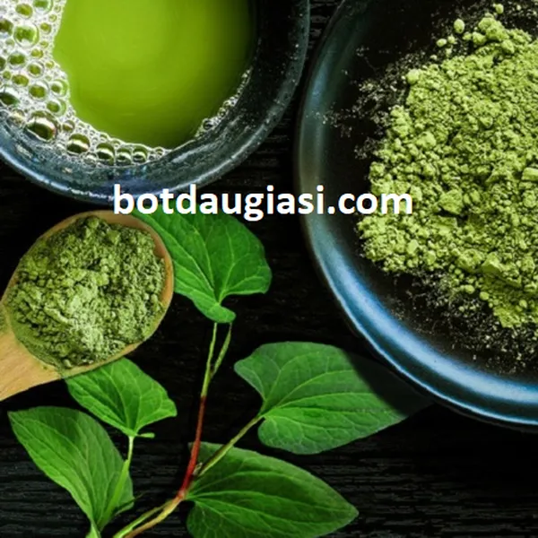 Bột diếp cá giá sỉ