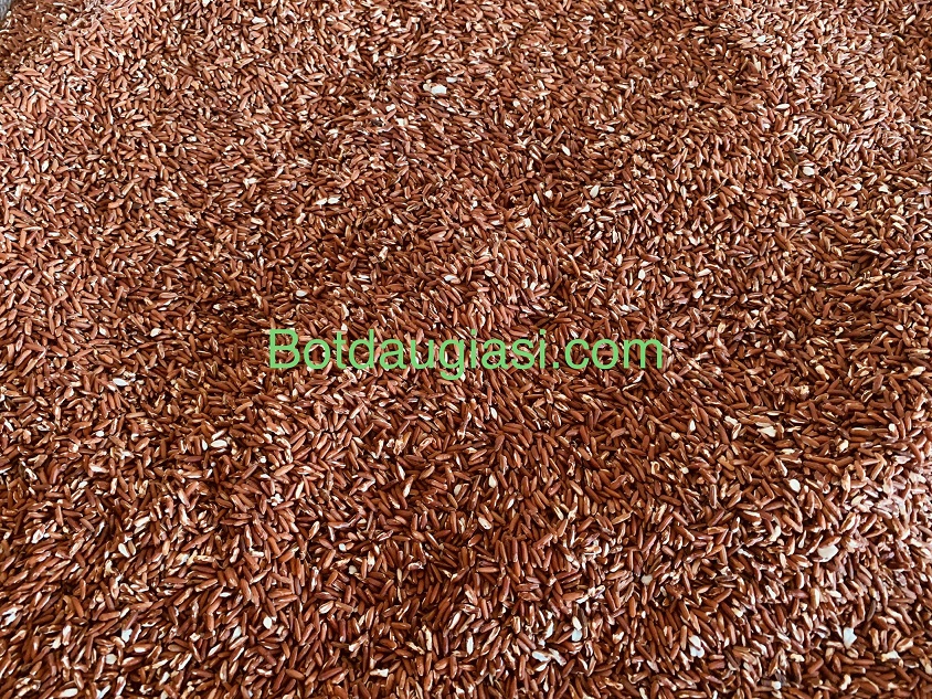 IMG_0113.jpg (483 KB)