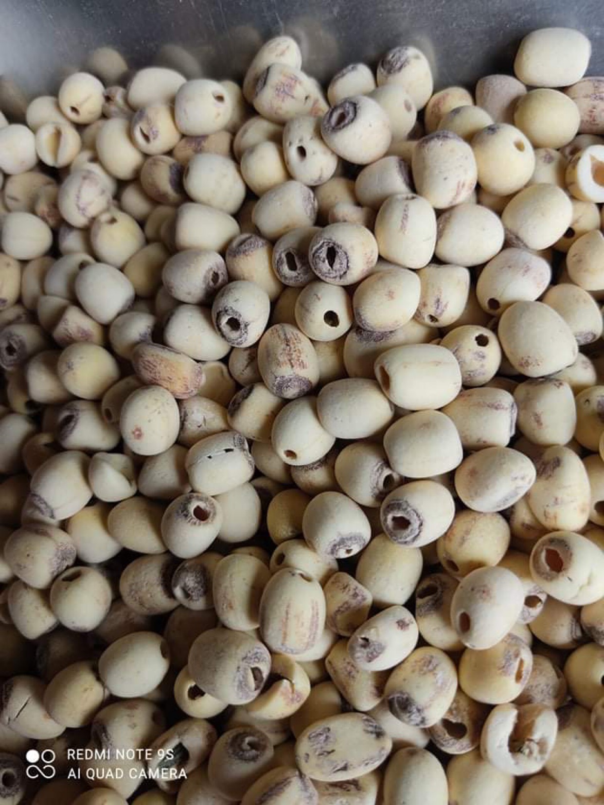 z2859297071700_957990735f3f1dd3f470e5c68181df5e.jpg (376 KB)