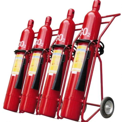 Bình chữa cháy xe đẩy khí CO2 Renan MT24 24kg