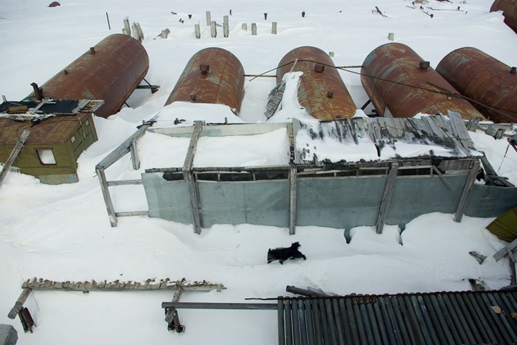 ong-thep-tro-thanh-nhung-ngoi-nha-sieu-sang