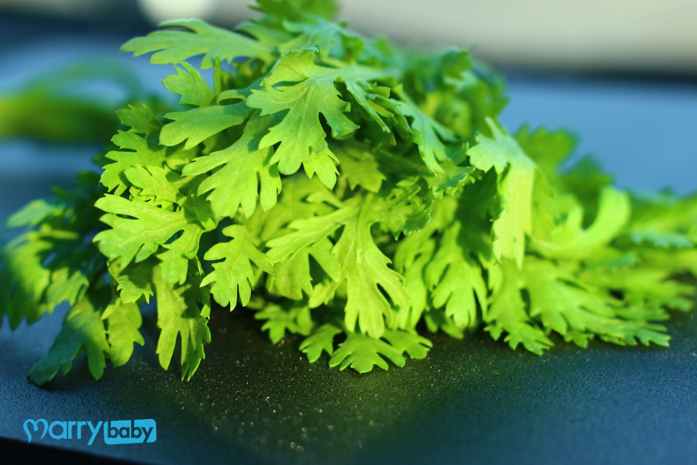 Bài thuốc nam trị ho và bệnh đường hô hấp