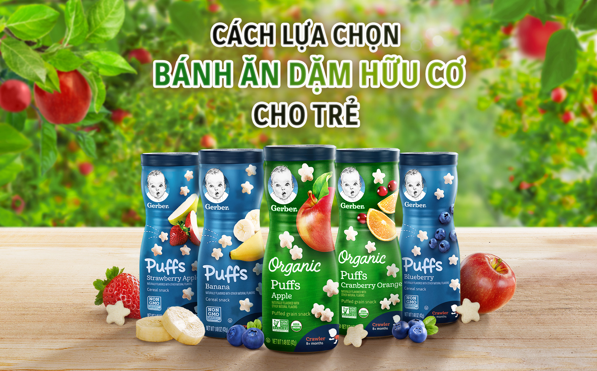 Bánh ăn dặm Gerber rất thiết yếu với sự phát triển toàn diện cho bé Bánh ăn dặm Gerber rất thiết yếu với sự phát triển toàn diện cho bé