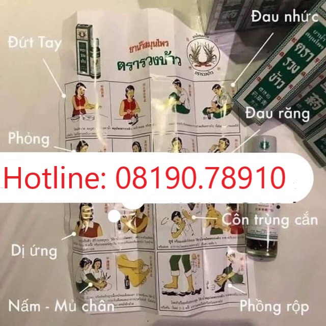 DẦu BÔng LÚa Minyak 24ml ThÁi Lan