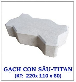 Gạch Con Sâu Bóng