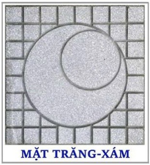 Gạch Terrazzo Mặt Trăng