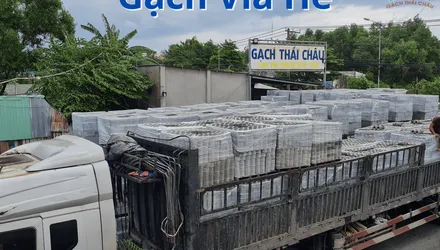 Nhà Máy Sản Xuất Gạch Vỉa Hè Uy Tín Tại Đồng Nai