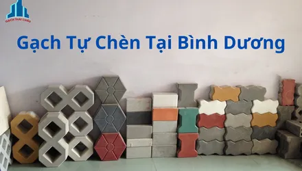Tại Bình Dương Nên Mua Gạch Tự Chèn Ở Đâu?
