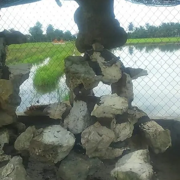 Hòn non bộ phong thủy