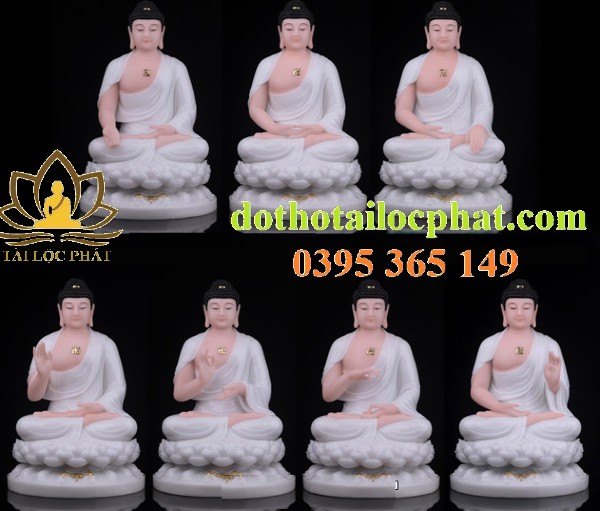 tuong-duoc-su-trang-ds-010 tuong-duoc-su-trang-ds-010