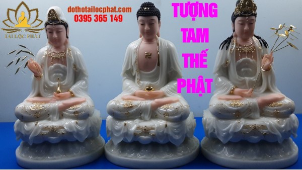 tuong-tam-the-phat tuong-tam-the-phat