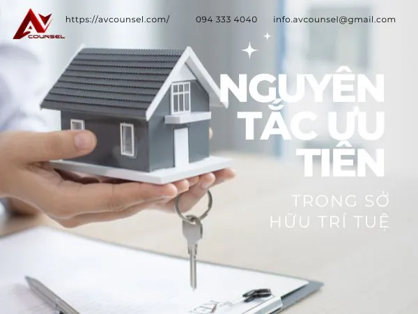 NGUYÊN TẮC ƯU TIÊN TRONG SỞ HỮU TRÍ TUỆ