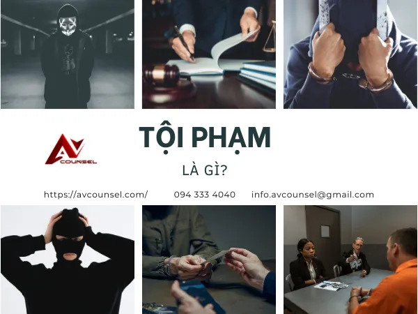 TỘI PHẠM LÀ GÌ?