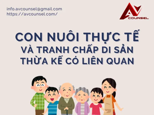 CON NUÔI THỰC TẾ VÀ TRANH CHẤP DI SẢN THỪA KẾ LIÊN QUAN
