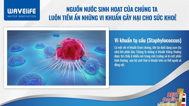 Công nghệ kháng khuẩn Zeomic: Công nghệ kháng khuẩn Zeomic: