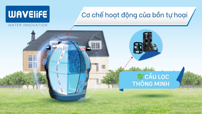 Nguyên lí hoạt động Bể phốt nhựa Nguyên lí hoạt động Bể phốt nhựa