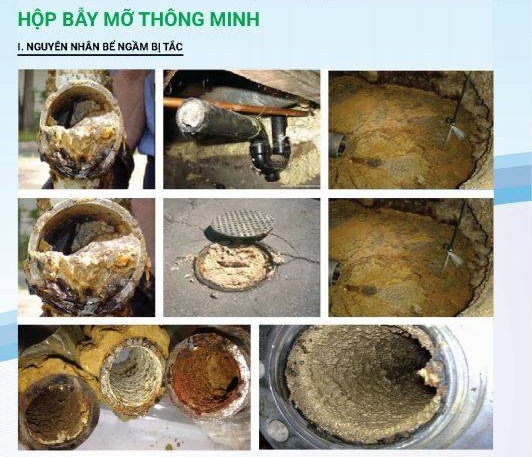 sử dụng bể tách mỡ Wavelife sử dụng bể tách mỡ Wavelife