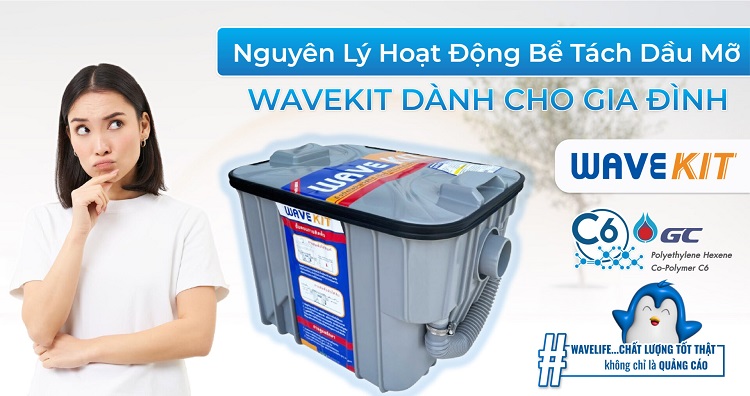 Bể tách mỡ Thái Lan, sản phẩm cao cấp hiện nay Bể tách mỡ Thái Lan, sản phẩm cao cấp hiện nay