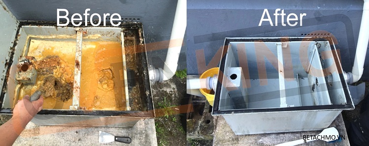 Vệ sinh bể tách mỡ gia đình sạch sẽ