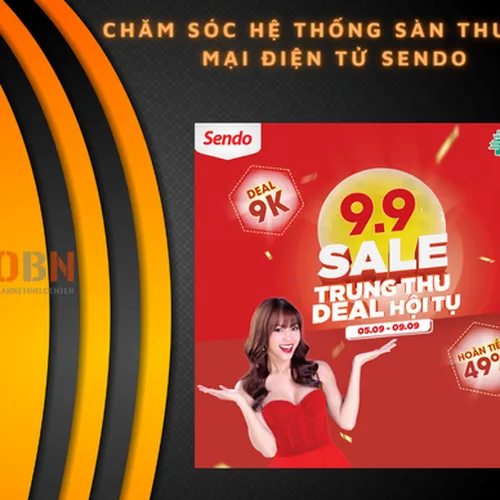 Chăm sóc hệ thống sàn thương mại điện tử Sendo
