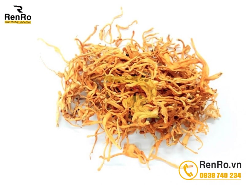 Đông trùng hạ thảo khô sấy nhiệt 1
