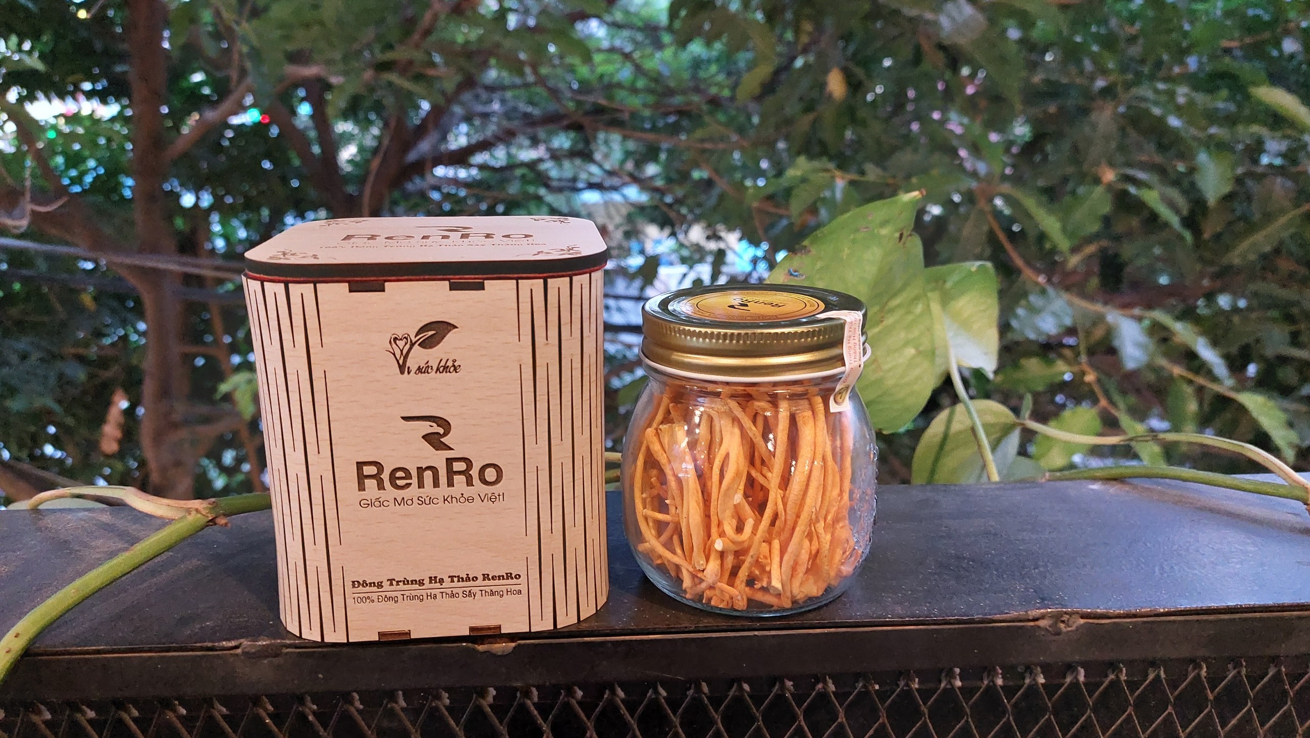 Đông trùng hạ thảo hữu cơ RenRo Đông trùng hạ thảo hữu cơ RenRo