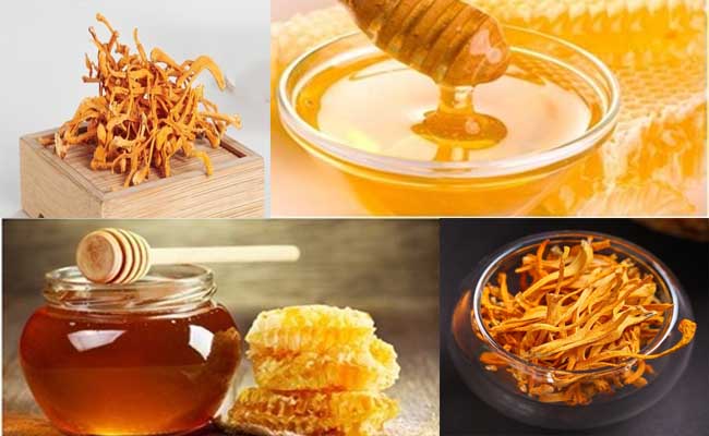 Cách dùng đông trùng hạ thảo hữu cơ ngâm mật ong Cách dùng đông trùng hạ thảo hữu cơ ngâm mật ong