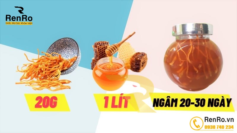 Cách ngâm đông trùng hạ thảo với mật ong hoa dừa 300ml Cách ngâm đông trùng hạ thảo với mật ong hoa dừa 300ml