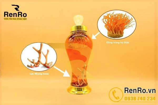 Cách ngâm rượu đông trùng hạ thảo sấy khô với nhung hươu Cách ngâm rượu đông trùng hạ thảo sấy khô với nhung hươu