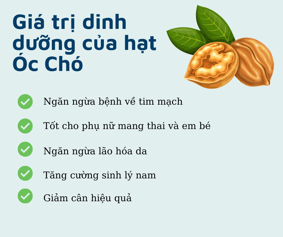 Cải thiện sức khỏe sinh lý nam bằng hạt óc chó Cải thiện sức khỏe sinh lý nam bằng hạt óc chó