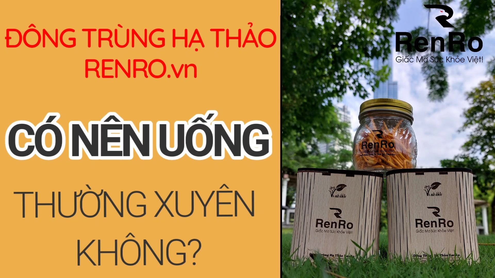 Có nên uống đông trùng hạ thảo thường xuyên không Có nên uống đông trùng hạ thảo thường xuyên không