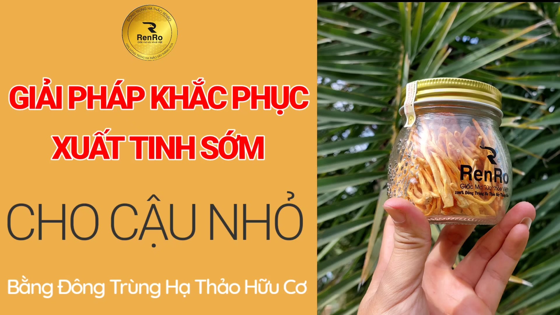 Đông trùng hạ thảo chữa trị xuất tinh sớm Đông trùng hạ thảo chữa trị xuất tinh sớm