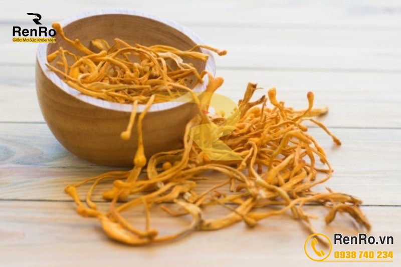 Đông trùng hạ thảo khô sấy nhiệt Đông trùng hạ thảo khô sấy nhiệt