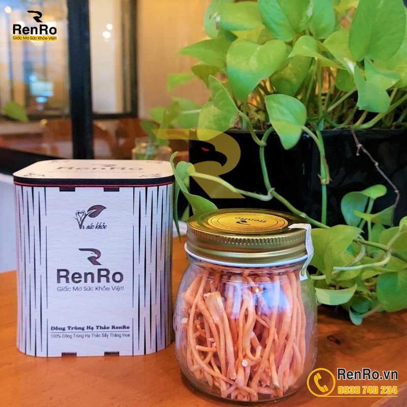 Đông trùng hạ thảo khô sấy thăng hoa Đông trùng hạ thảo khô sấy thăng hoa