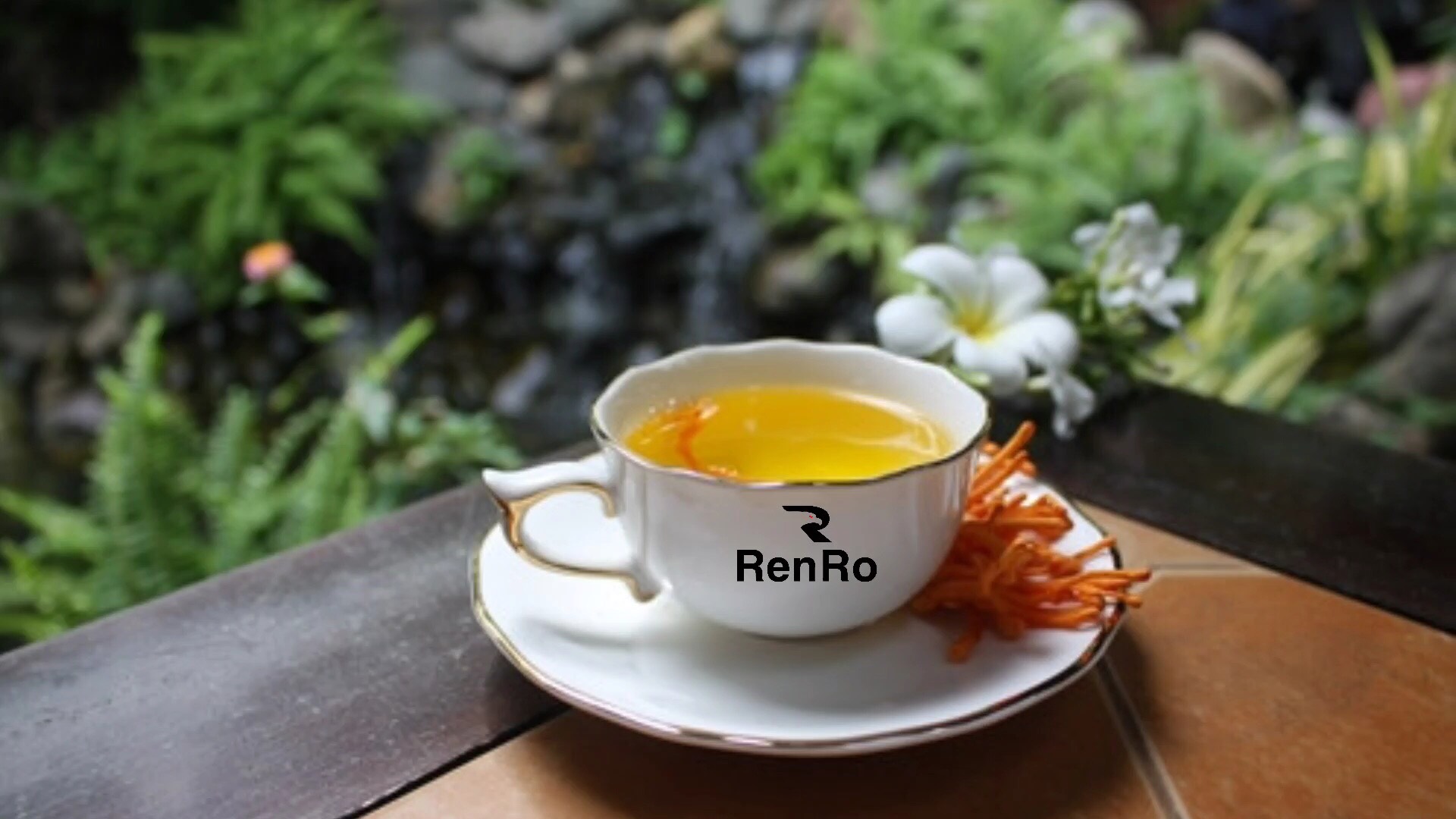 Đông trùng hạ thảo hữu cơ RenRo pha trà Đông trùng hạ thảo hữu cơ RenRo pha trà