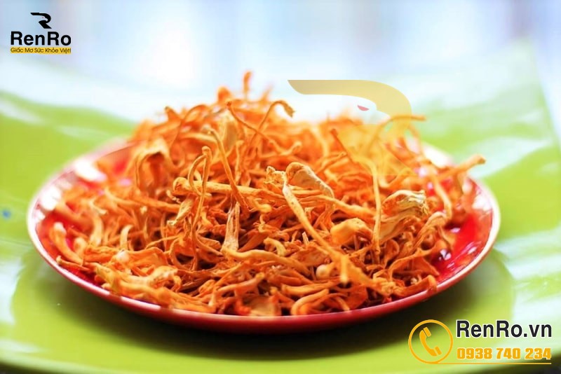 Đông trùng hạ thảo khô sấy lạnh Đông trùng hạ thảo khô sấy lạnh