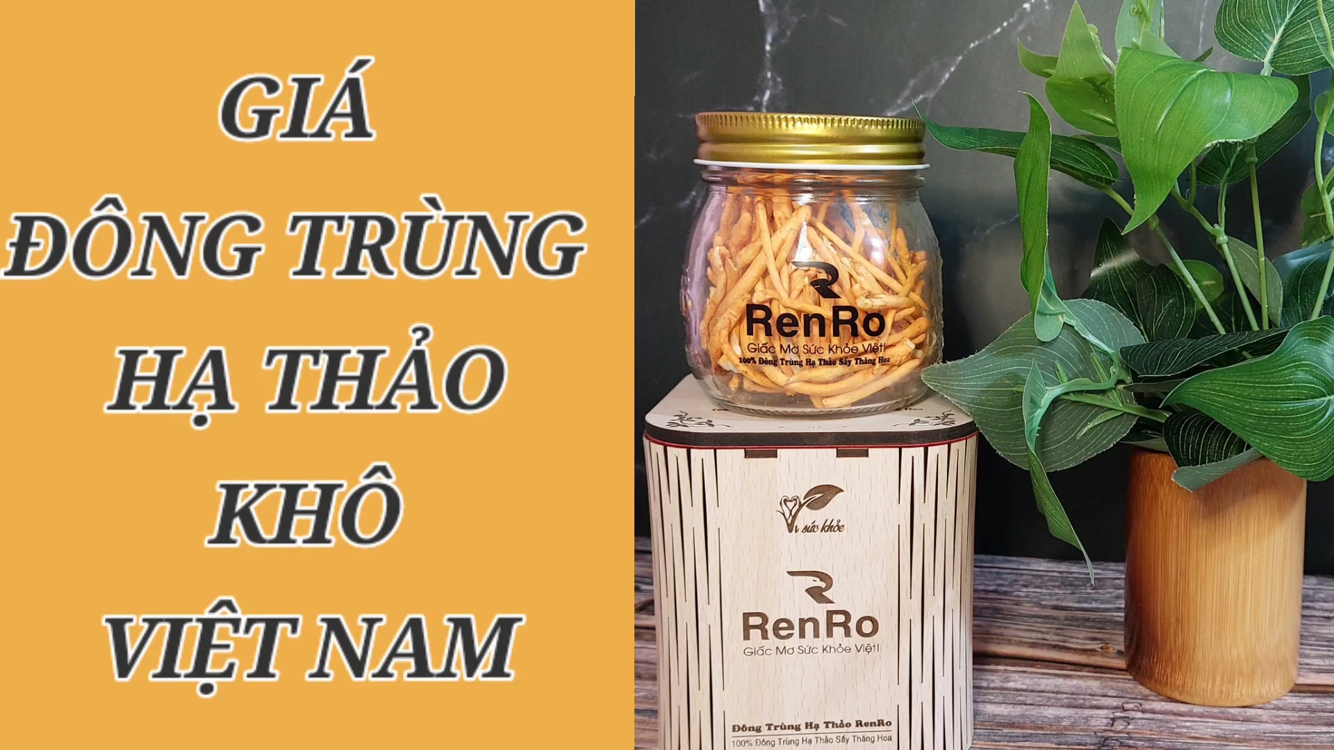 Giá đông trùng hạ thảo khô việt nam Giá đông trùng hạ thảo khô việt nam