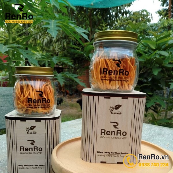 Hộp quà tết đông trùng hạ thảo lo 10gram Hộp quà tết đông trùng hạ thảo lo 10gram