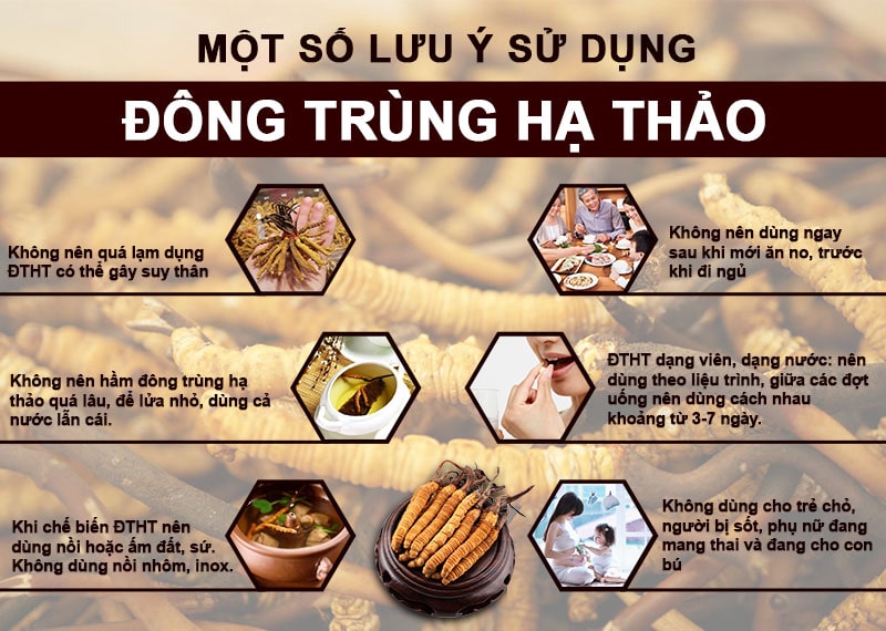 Lưu ý khi uống đông trùng hạ thảo RenRo Lưu ý khi uống đông trùng hạ thảo RenRo