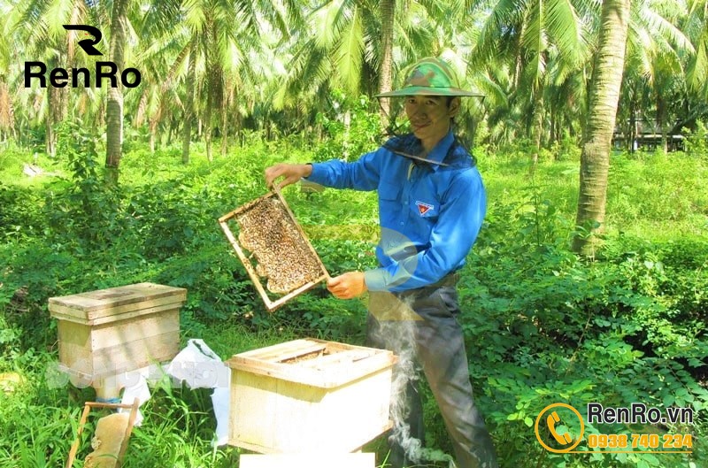 Lưu ý khi uống đông trùng hạ thảo Renro ngâm mật ong