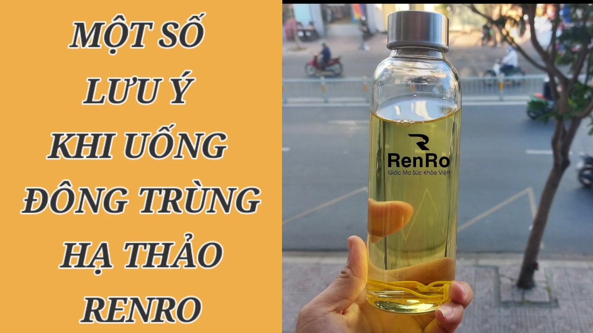 Một số lưu ý khi uống đông trùng hạ thảo RenRo Một số lưu ý khi uống đông trùng hạ thảo RenRo