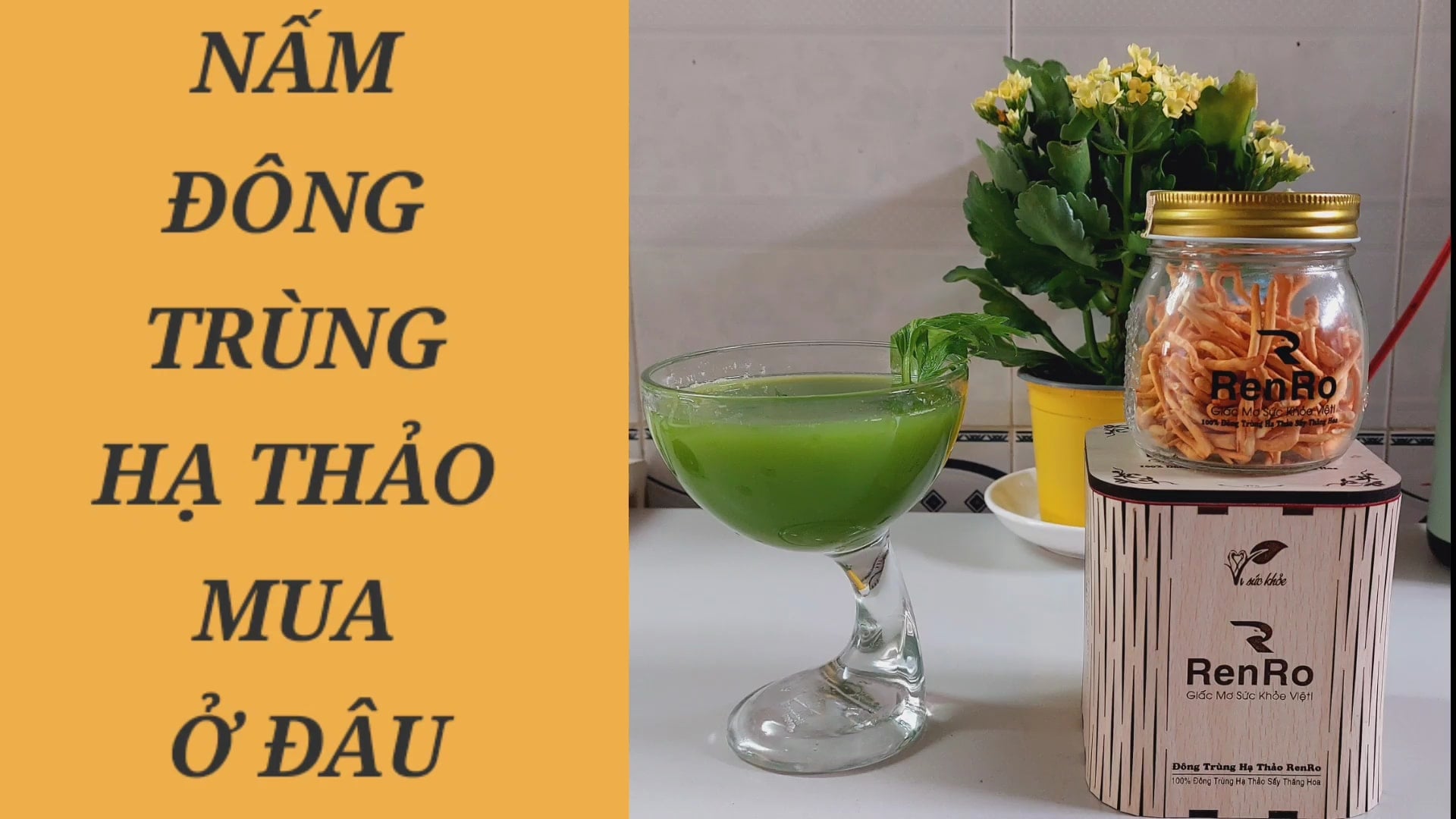 Nấm đông trùng hạ thảo mua ở đâu Nấm đông trùng hạ thảo mua ở đâu