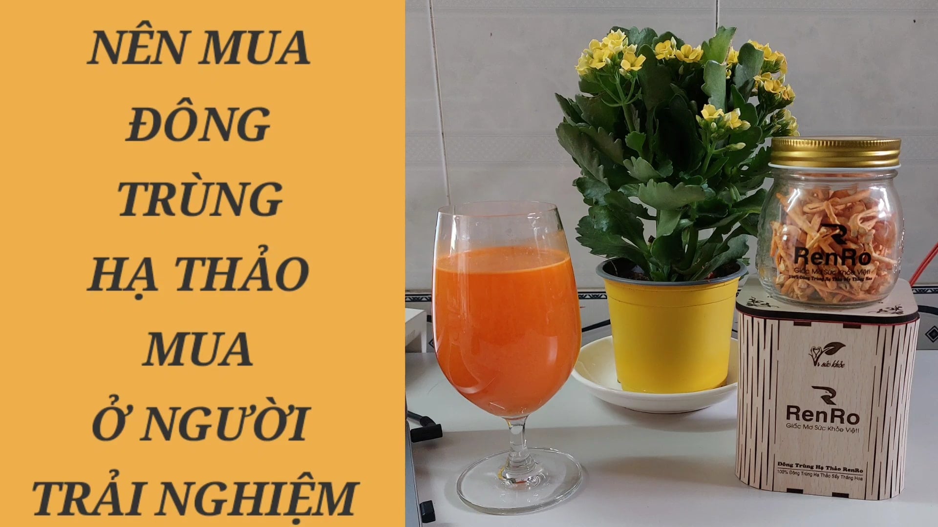 Nên mua đông trùng hạ thảo ở người trải nghiệm RenRo Nên mua đông trùng hạ thảo ở người trải nghiệm RenRo