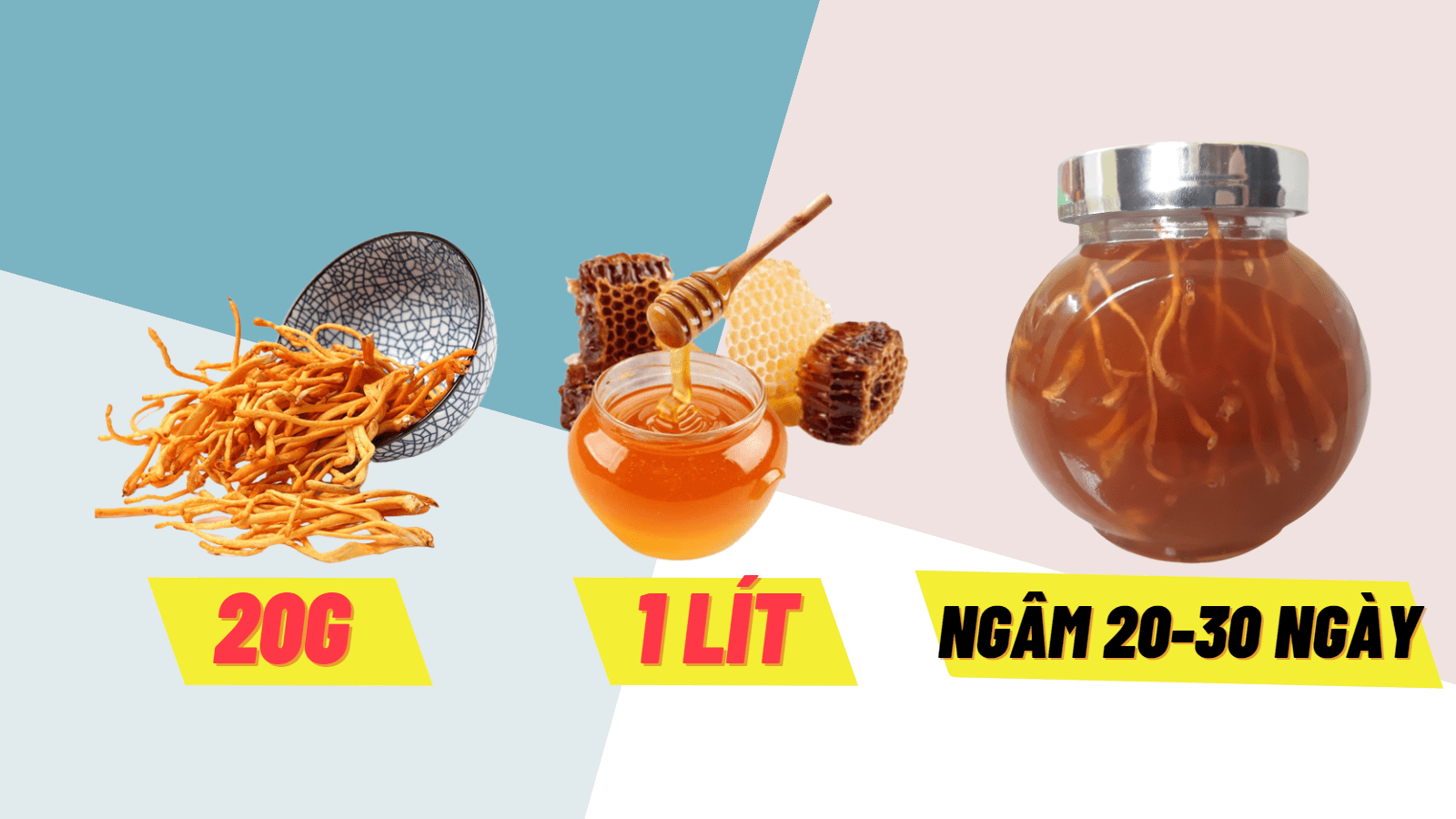 Ngâm mật ong đông trùng hạ thảo RenRo Ngâm mật ong đông trùng hạ thảo RenRo