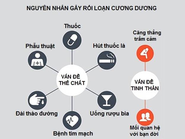 Nguyên nhân gây rối loạn cương dương Nguyên nhân gây rối loạn cương dương